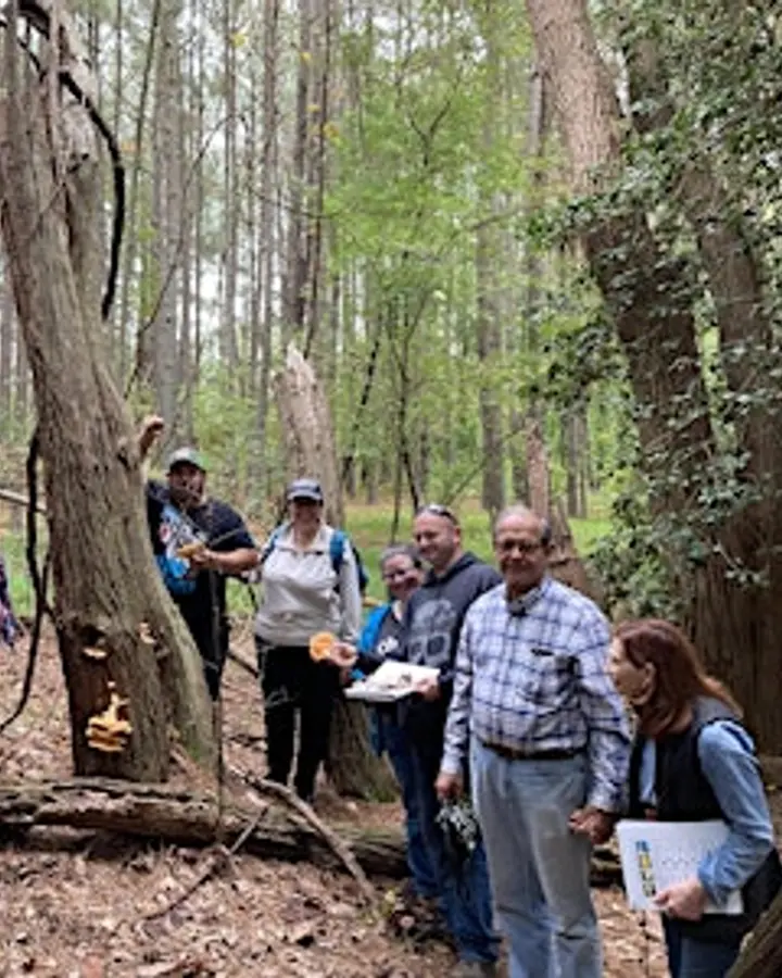 Mushroom 101 and Foraging Class