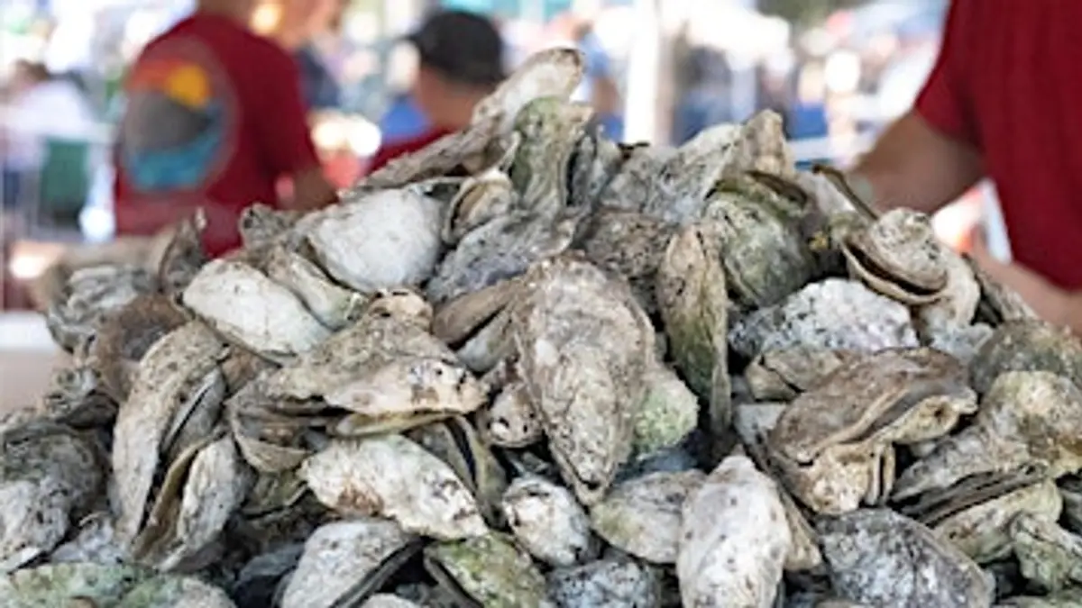 2026  Chincoteague Oyster Festival