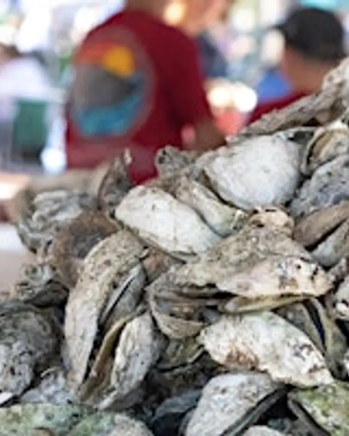 2026  Chincoteague Oyster Festival