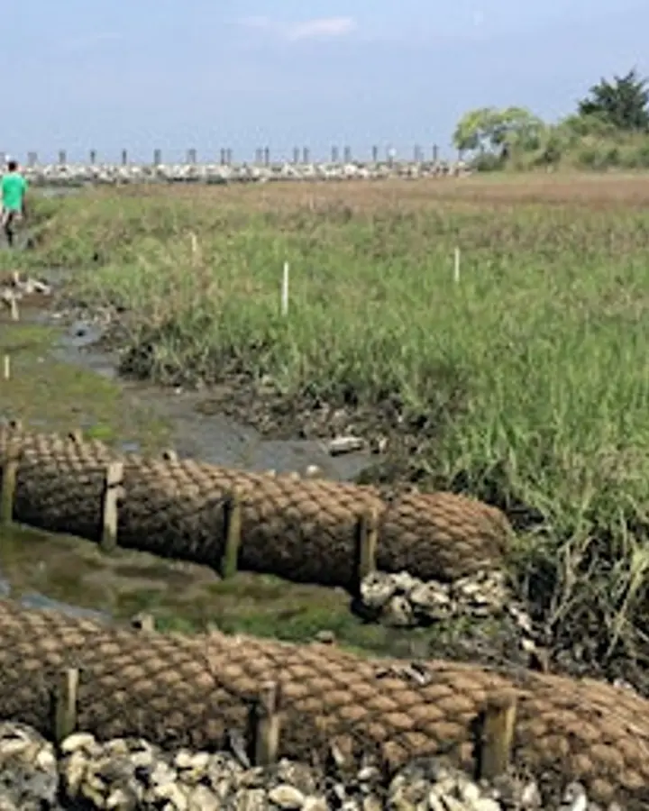 Introduction to Living Shorelines Training