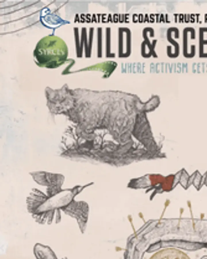 Wild & Scenic Film Festival