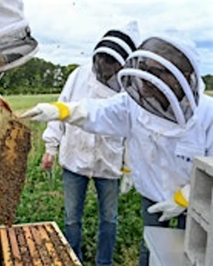 Honey Harvesting: Healthy Hives, Winter Prep (and Honey)
