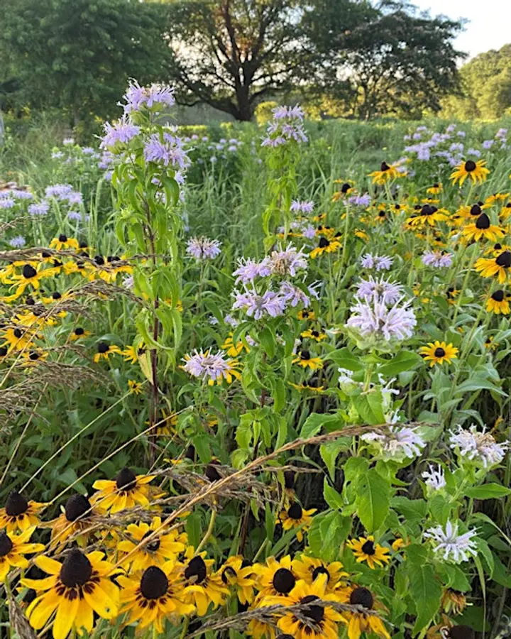 Goodbye Garden Guesswork… Hello Happiness! Gregg Tepper
