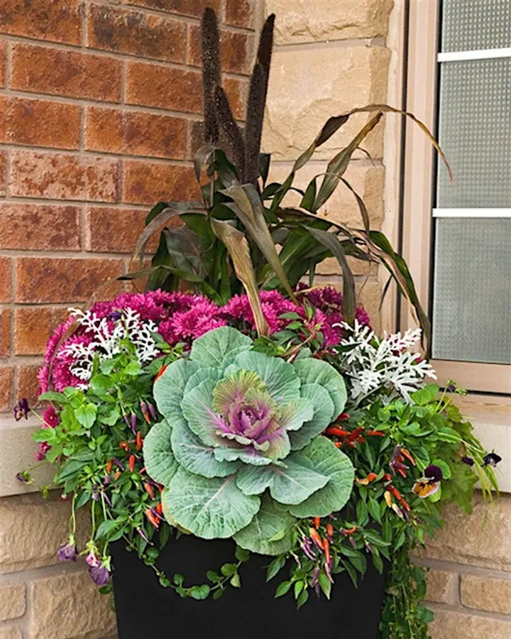 Pots of Possibilities - Potting Up Autumn Magic