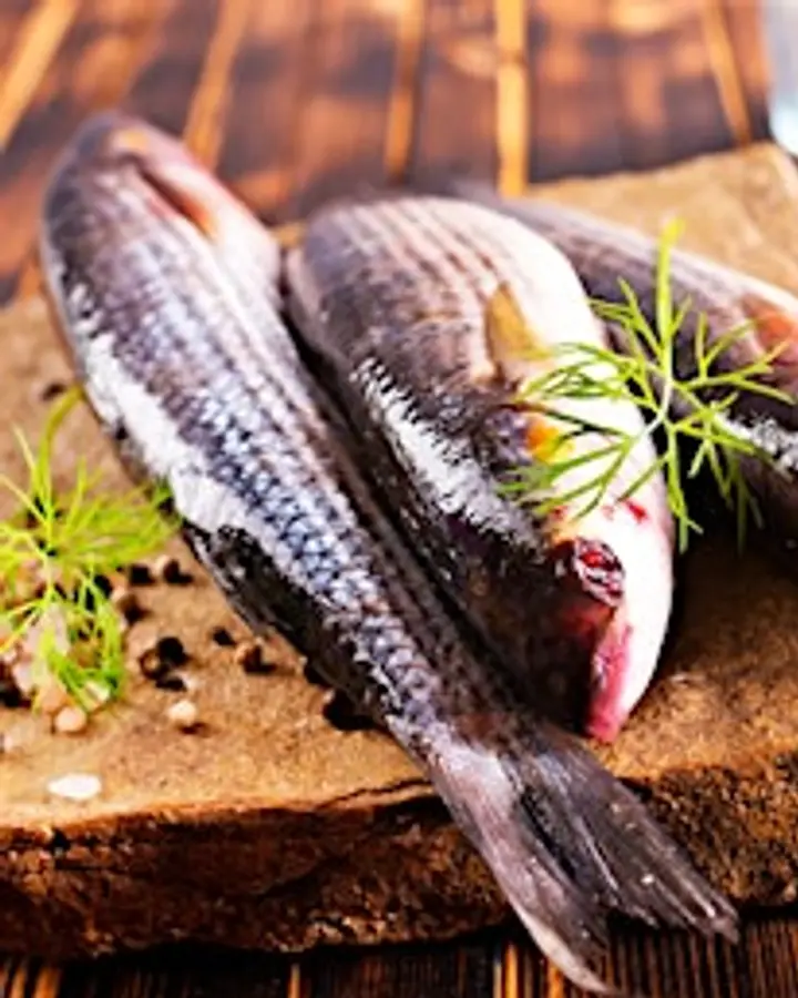 Art of Fishery Cooking Demo & Tasting