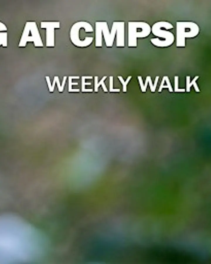 E-Z Birding at Cape May Point State Park
