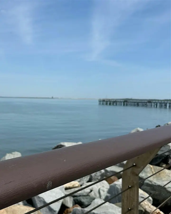 Yoga by the Ferry