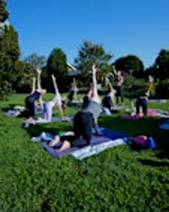 Yoga and Sound Bath at the Lavender Fields