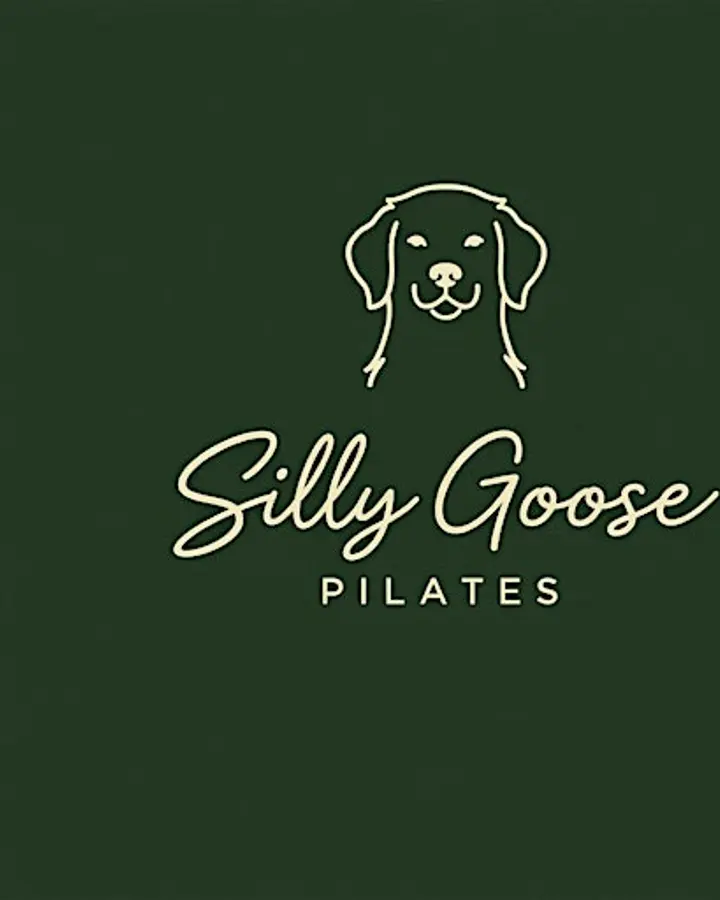 Silly Goose Hits the Shore