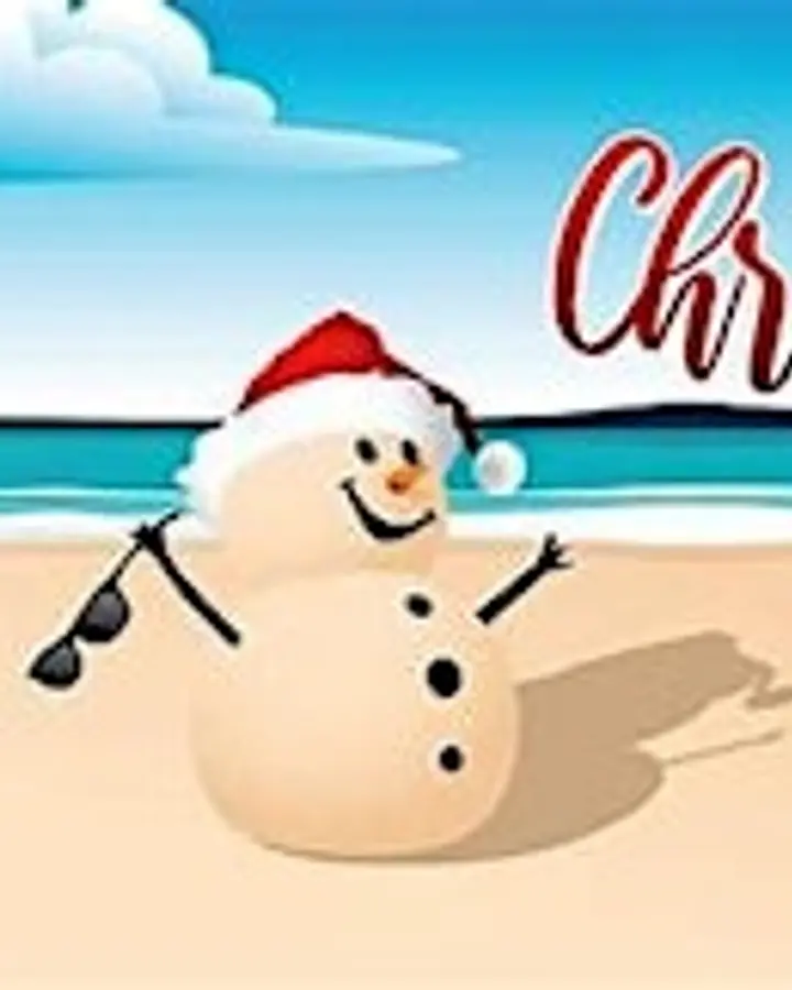Christmas In July Pool Party