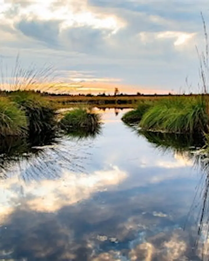 Cruise Into Conservation - Journey the Lewes-Rehoboth Canal & Rehoboth Bay