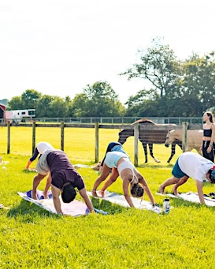 Yoga at Love Creek Farm