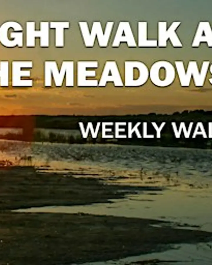 Twilight Walk at the Meadows